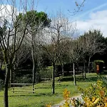 Κάμπινγκ Tobacco Road