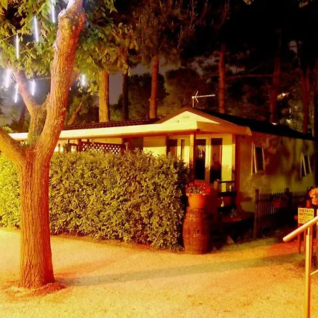 Κάμπινγκ Tobacco Road