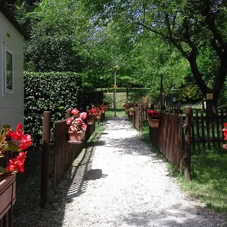 Tobacco Road *