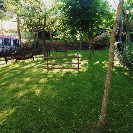 مكان تخييم Tobacco Road *