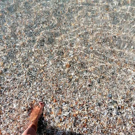 مكان تخييم Tobacco Road *