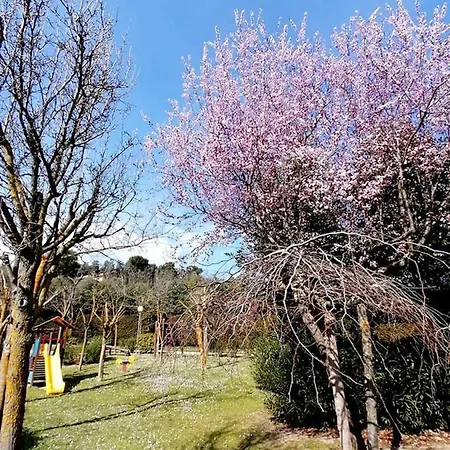 مكان تخييم Tobacco Road