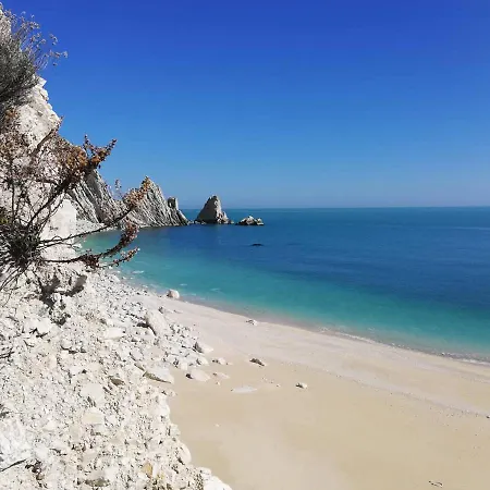 Tobacco Road * سيرولو