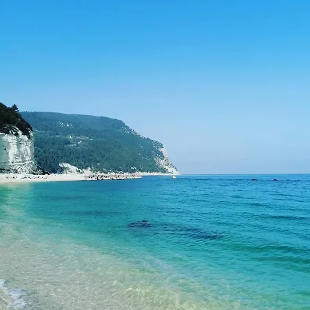 مكان تخييم Tobacco Road