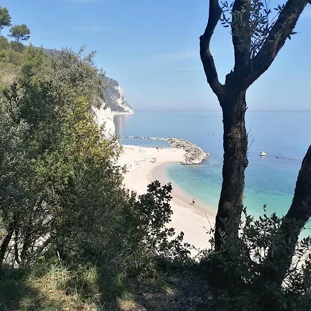 Tobacco Road سيرولو