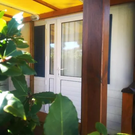 مكان تخييم Tobacco Road