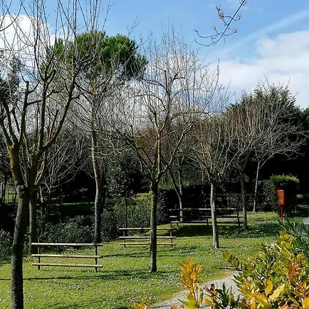 مكان تخييم Tobacco Road