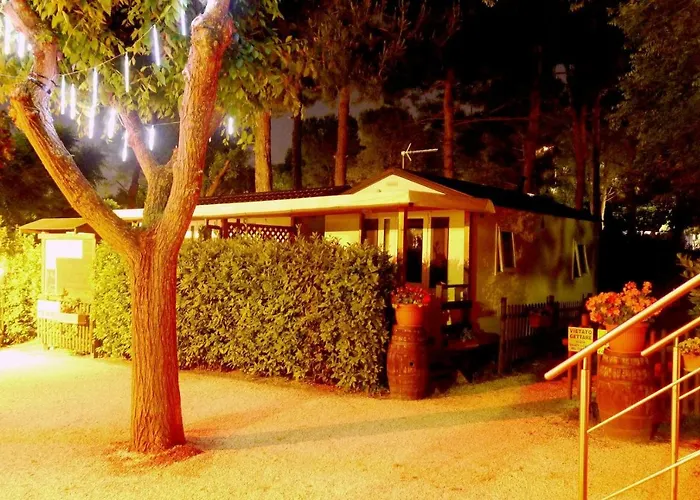 Κάμπινγκ Tobacco Road