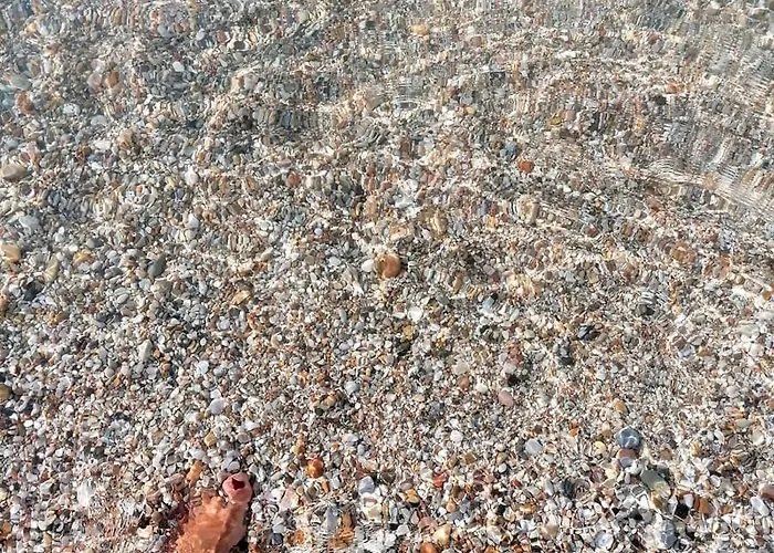 Κάμπινγκ Tobacco Road *