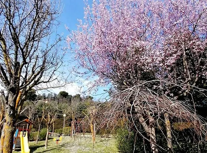 Κάμπινγκ Tobacco Road