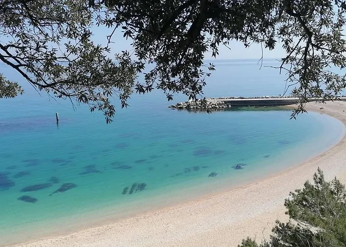 Tobacco Road Κάμπινγκ *