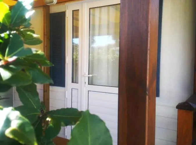 Κάμπινγκ Tobacco Road