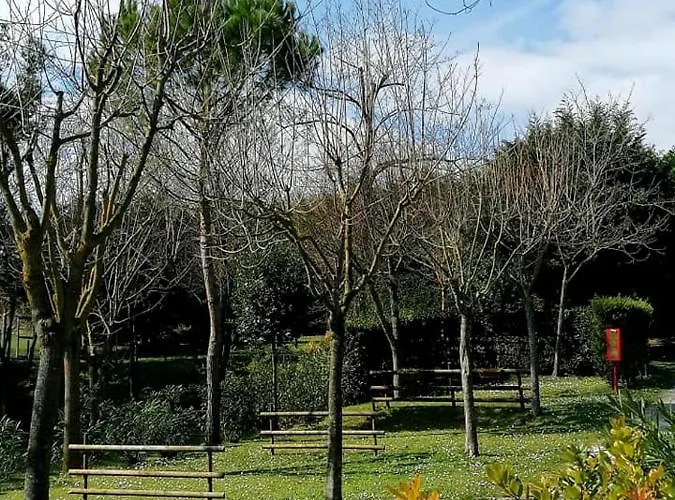 Κάμπινγκ Tobacco Road